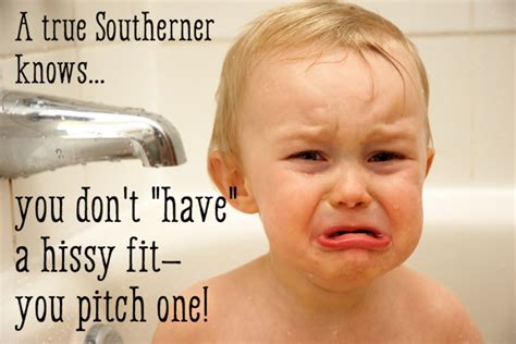 funny sayings in the south